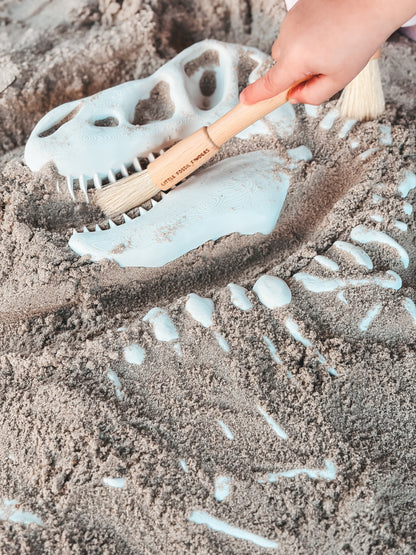 Large Tyrannosaurus Fossil