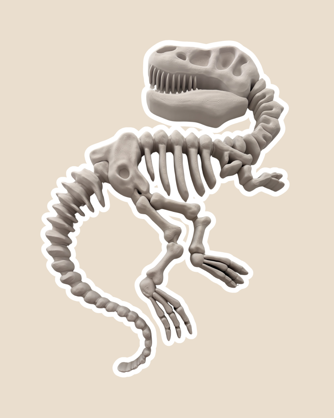 Large Tyrannosaurus Fossil