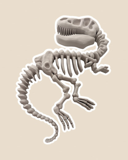 Large Tyrannosaurus Fossil