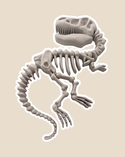 Large Tyrannosaurus Fossil