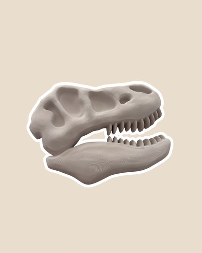 Tyrannosaurus Skull