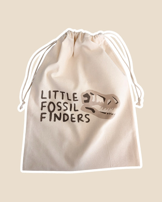 Large Storage Bag