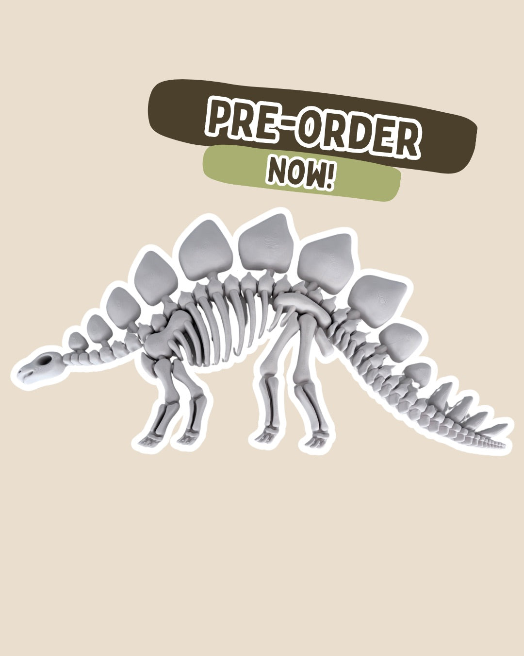 PRE-ORDER - BIG Stegosaurus Fossil