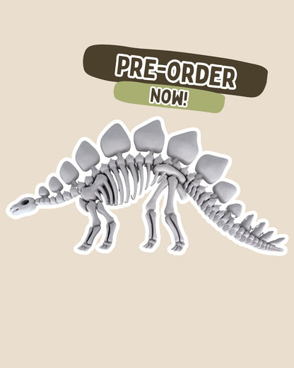 PRE-ORDER - BIG Stegosaurus Fossil
