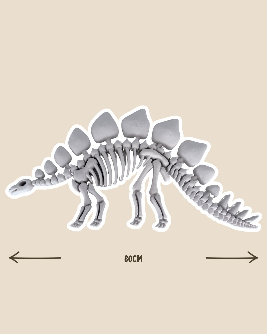 PRE-ORDER - BIG Stegosaurus Fossil