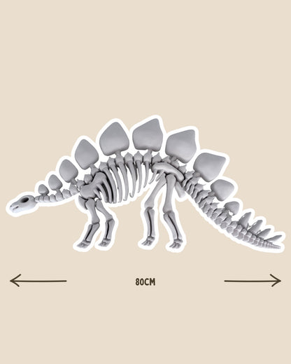 PRE-ORDER - BIG Stegosaurus Fossil