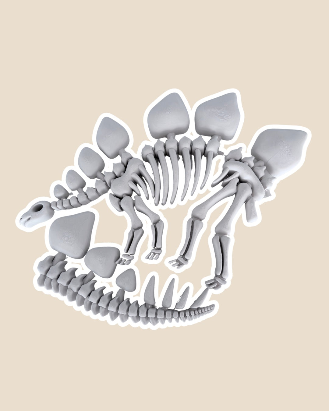 PRE-ORDER - BIG Stegosaurus Fossil