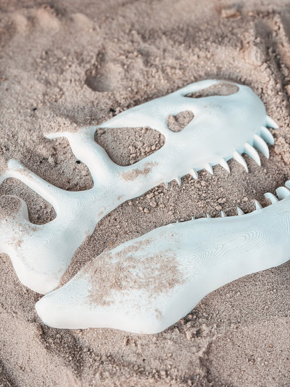 Tyrannosaurus Skull