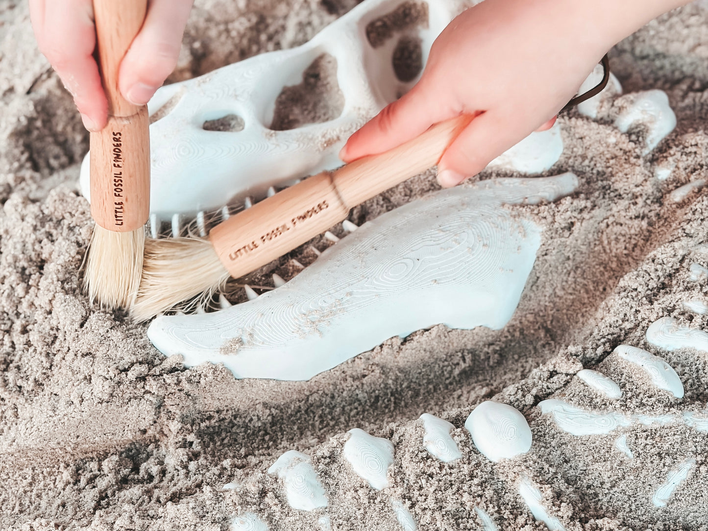 Dino Dig Discovery Brush