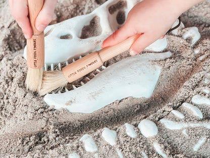 Dino Dig Discovery Brush