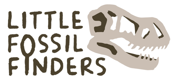 Little Fossil Finders
